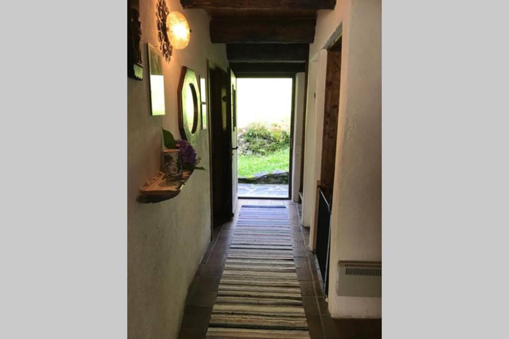 Casa Cantoni Lavizzara エクステリア 写真