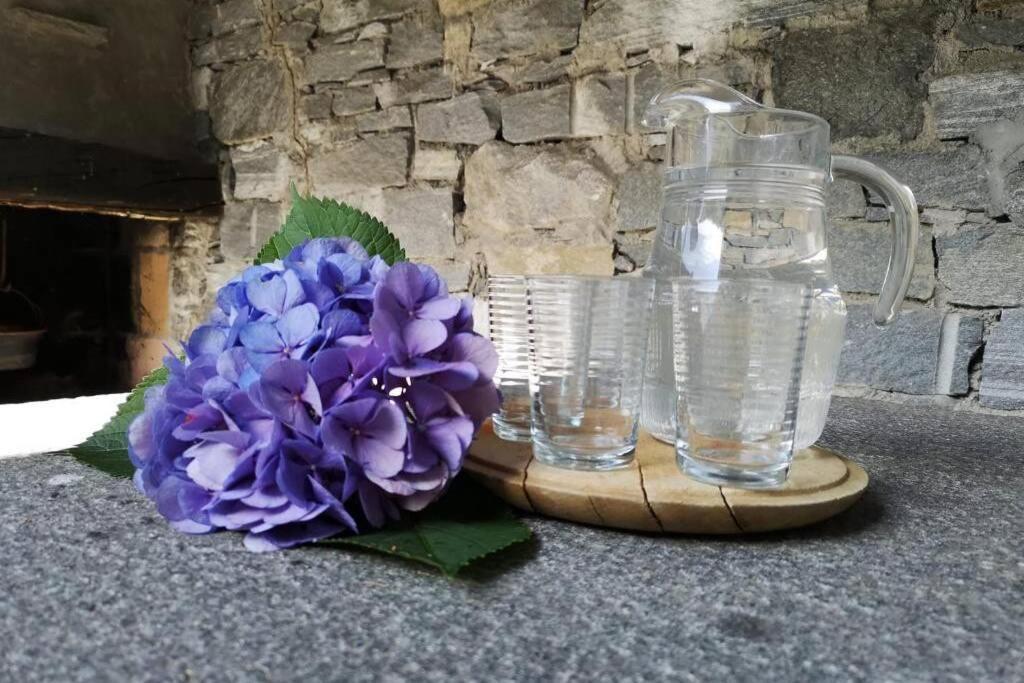 Casa Cantoni Lavizzara エクステリア 写真