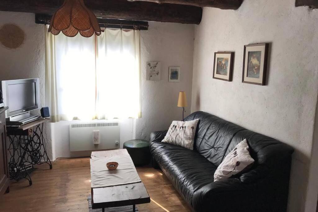 Casa Cantoni Lavizzara エクステリア 写真