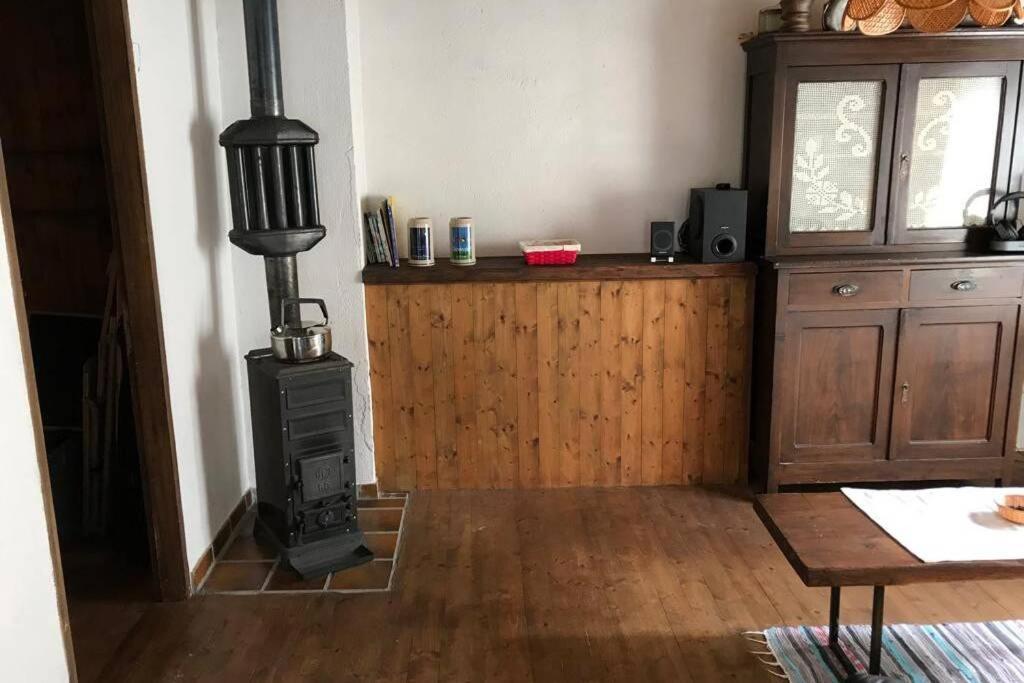 Casa Cantoni Lavizzara エクステリア 写真